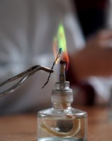 /album/a88/p1010002-small-jpg16/